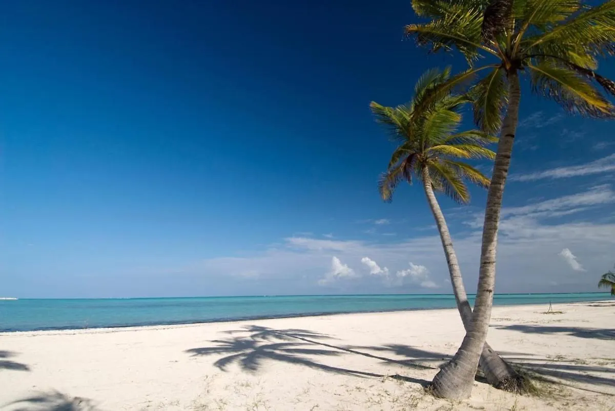Apartament Backyard, Pool View, Walk To Beach, Dining, Shops Punta Cana